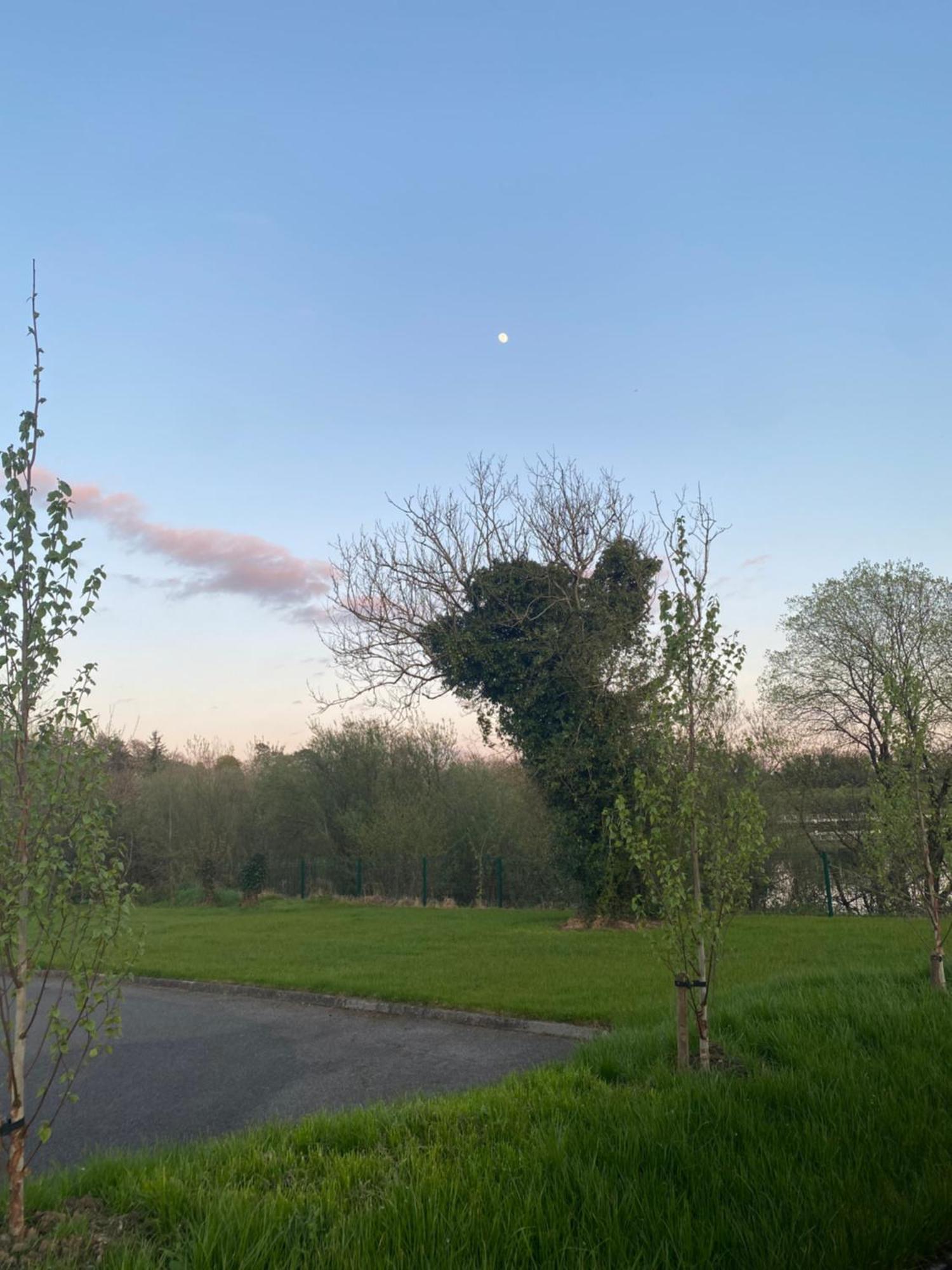 Killyfole Lakeside Lodges Corranny Eksteriør billede